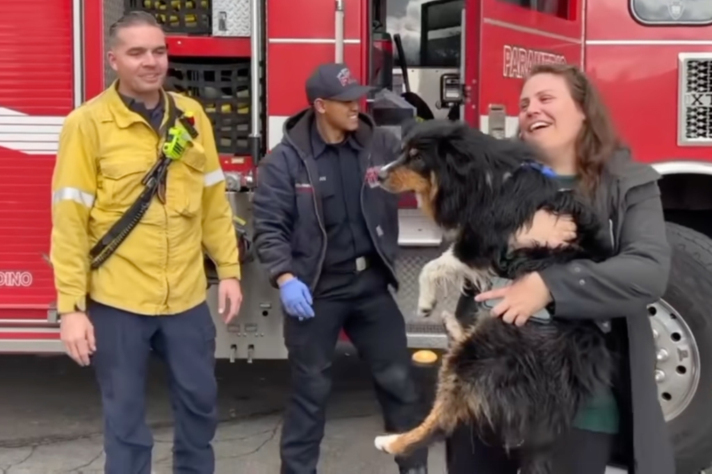 Emilie Brill, right, is pictured cuddling her beloved pup and thanking firefighters for rescuing him. 