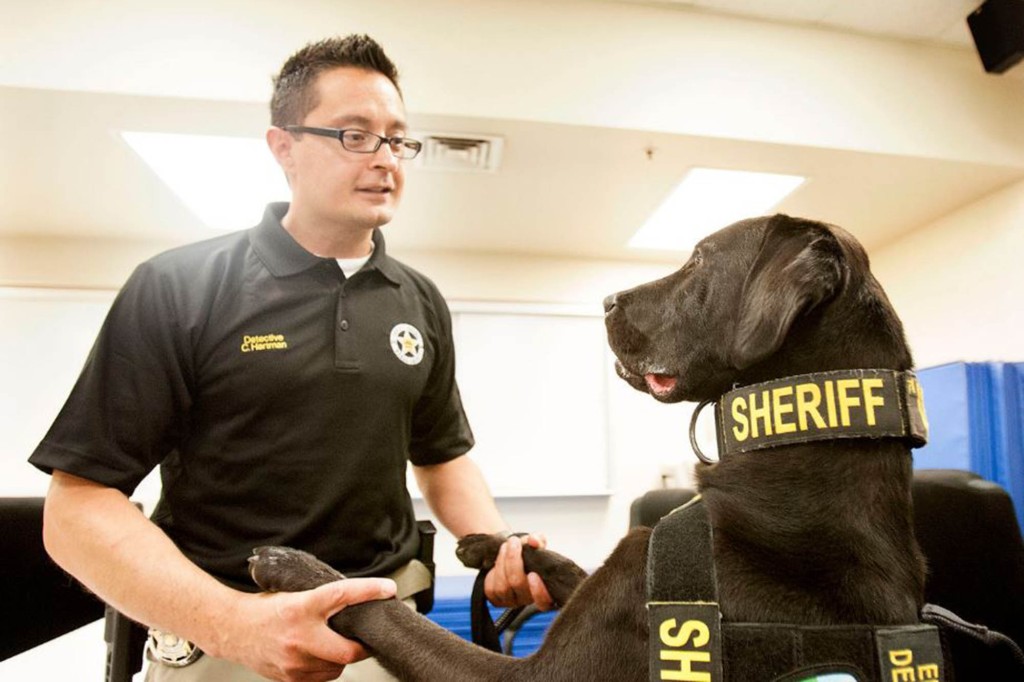 Working alongside his handler, Detective Cameron Hartman, left, URL helped execute more than 2,000 search warrants in cases often involving child pornography. 