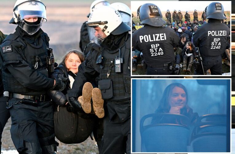Greta Thunberg carried off by police during protest in German village
