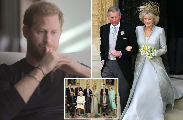 Prince Harry admits he ‘begged’ dad not to marry Camilla