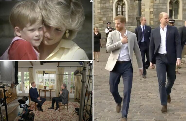 Prince Harry talks family problems, Princess Diana’s death