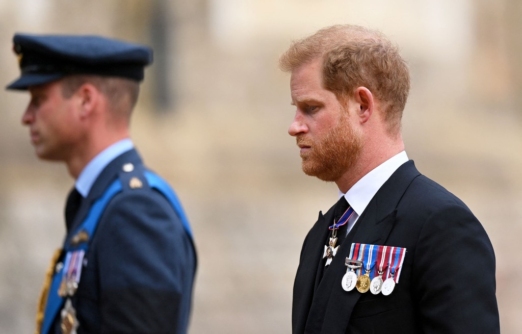 William and Harry at Queen Elizabeth's funeral.