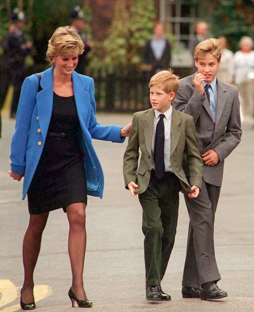Diana, Harry and William in 1995.