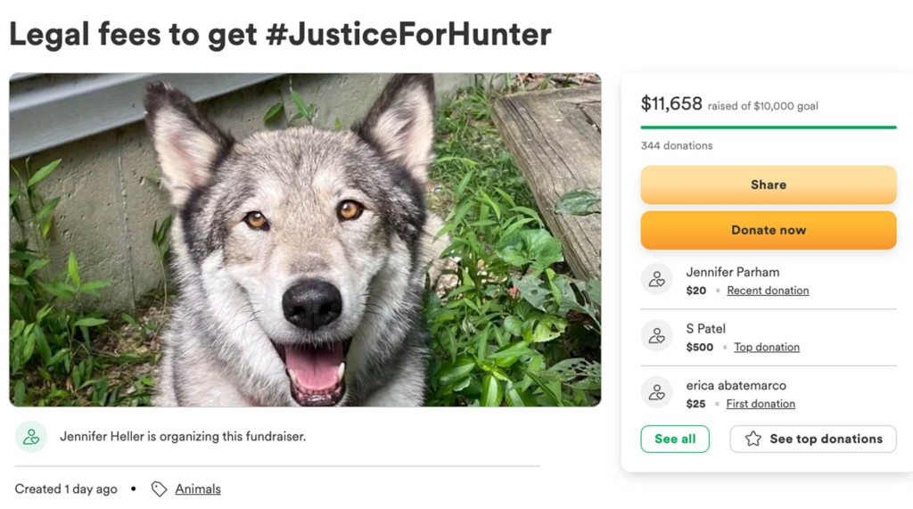 A GoFundMe page for Hunter was made in an attempt to cover legal fees. 