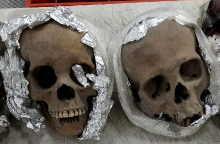 Mexican authorities uncover human skulls in package headed for US