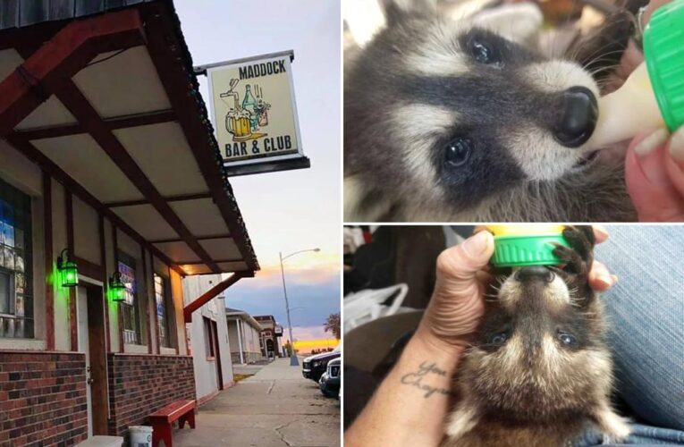 What happens if you bring a raccoon into a North Dakota bar
