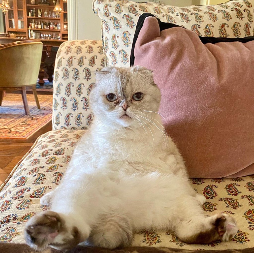 In 2020, Taylor Swift posted a photo of Benson to Instagram, garnering more than 2 million likes.