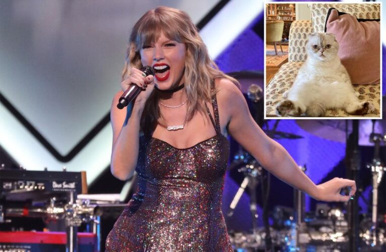 Taylor Swift’s cat is worth $97M, among world’s richest pets: report