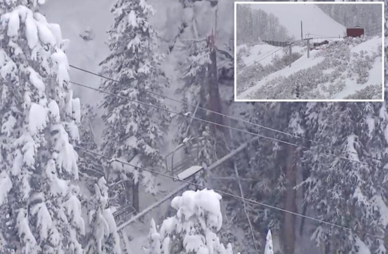 Utah ski patroller dies after falling tree ejects him from lift