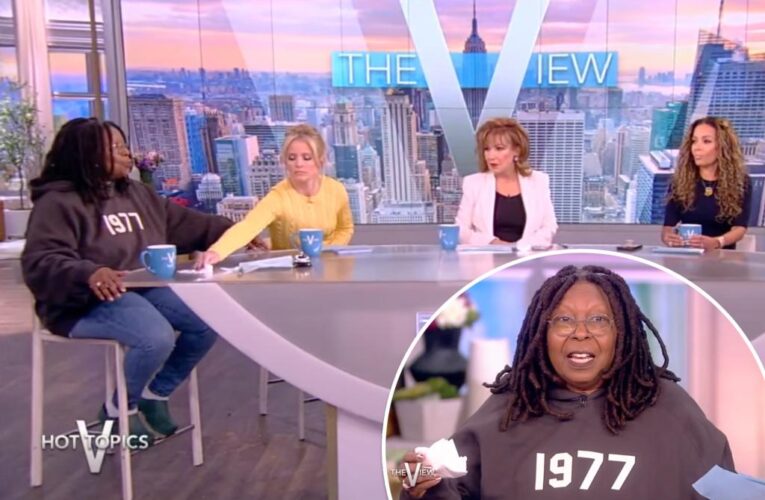 ‘The View’ interrupted by drink spill — and odd fart noise