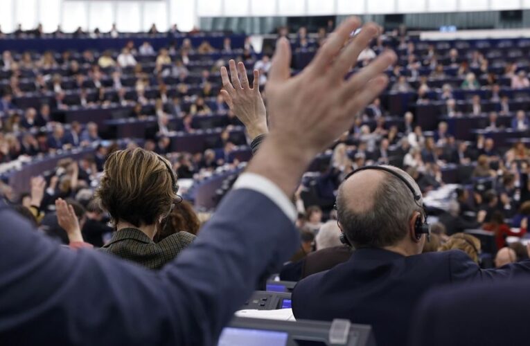 MEPs launch hotline to tip off Big Tech’s ‘shady lobbying’ in EU institutions