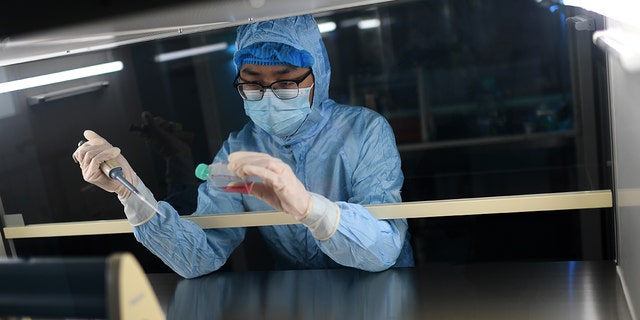 A researcher works in a lab in Wuhan in central China, Hubei province, Oct. 12, 2021.