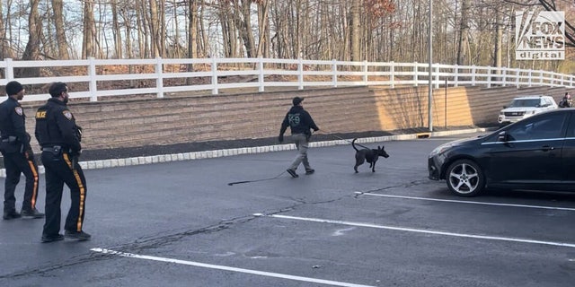 Police with a K9 dog at the Sayreville apartment complex where Eunice Dwumfour was killed on Feb. 1, 2023.