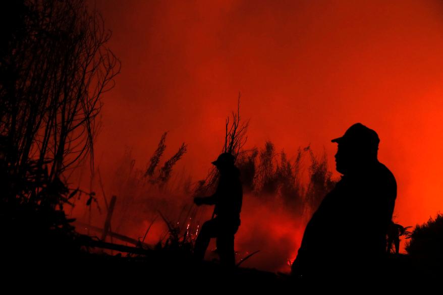 People fight a fire in the Araucania region, Chile.