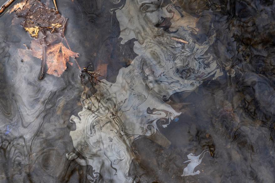 Petroleum based chemicals float on the top of the water in Leslie Run creek after being agitated from the sediment on the bottom of the creek on February 20, 2023 in East Palestine, Ohio