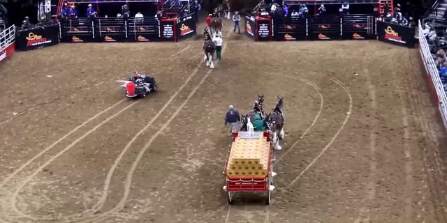 After the horse managed to rise, the iconic Clydesdales gracefully left the stadium in San Atonio, Texas.