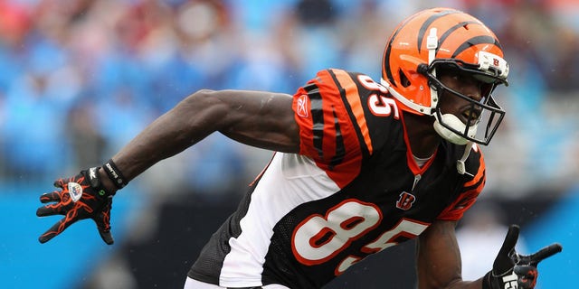 Chad Ochocinco of the Cincinnati Bengals during a game against the Carolina Panthers at Bank of America Stadium Sept. 26, 2010, in Charlotte, N.C.  