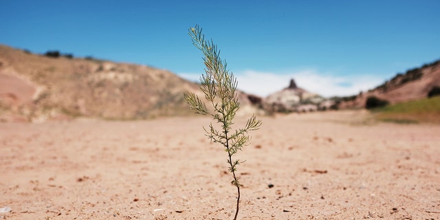 GALLUP, NEW MEXICO - JUNE 07: A dry landscape stands on Navajo Nation lands on June 07, 2019 in the town of Gallup, New Mexico. 