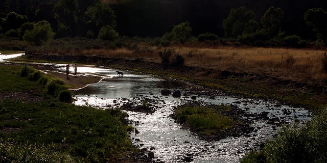 Visitors play with their dog in the West Fork of the Gila River in the Gila National Forest of New Mexico. 