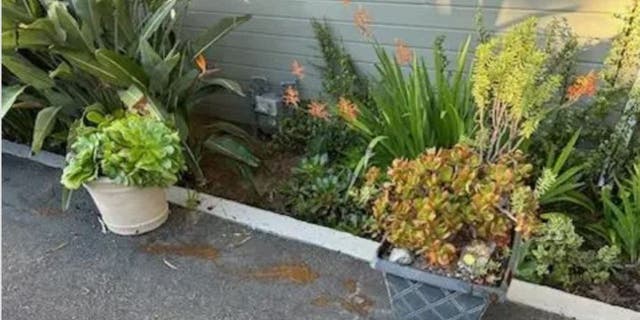 Police in Laguna Beach, California are looking for the person responsible for smearing feces all over a city official's home