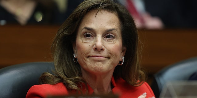 Rep. Lisa McClain (R-MI) participates in a meeting of the House Oversight and Reform Committee in the Rayburn House Office Building on Jan. 31, 2023 in Washington, D.C.