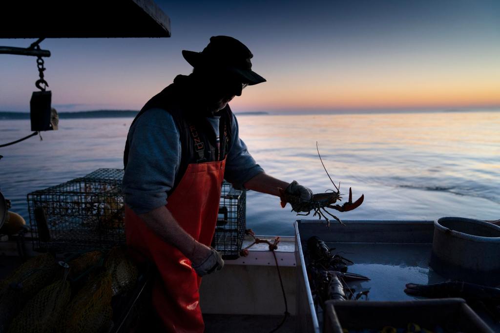 A lobster fisher works on his boat off Spruce Head, Maine on Aug. 21, 2021.