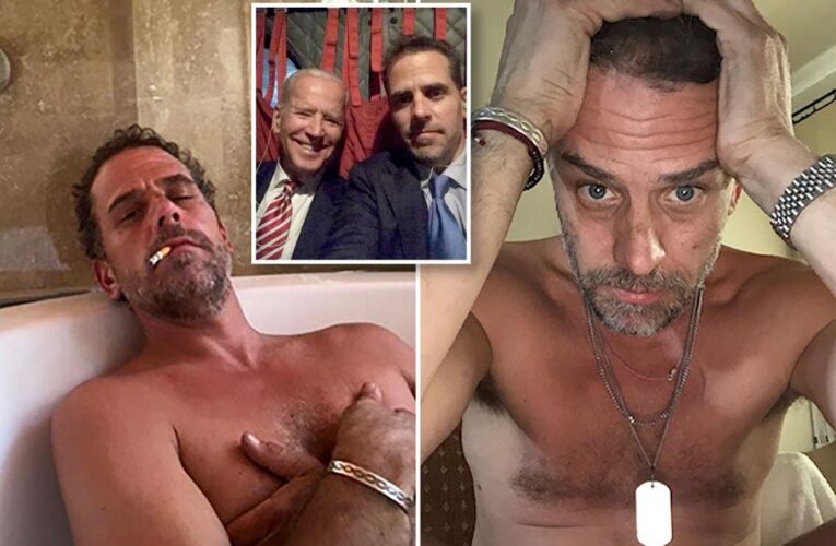 Hunter Biden admits infamous laptop is his in plea for probe