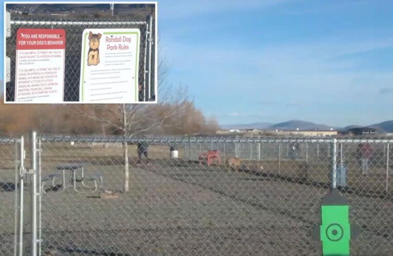 Washington state father fatally shoots man ‘acting erratically’ at dog park