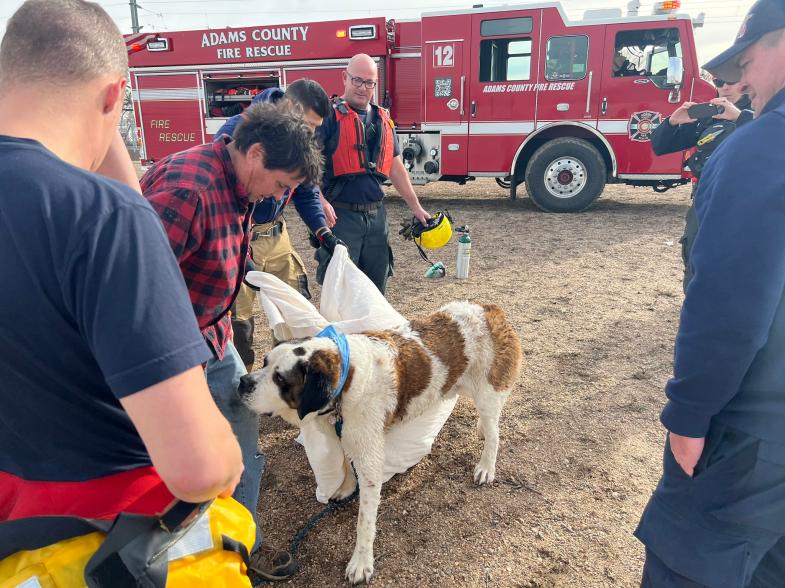 The dog chased a rock the owner threw over the ice and fell through about 50-75 feet away from the shoreline.