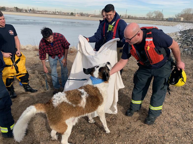 The Adams County Fire Rescue team in Denver was able to get to the scene and rescue Mumford within minutes of arriving.