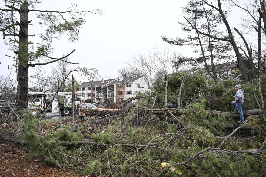 Multiple trees downed in New Jersey.