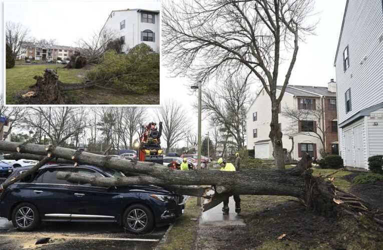 Rare EF-2 tornado leaves extensive damage in New Jersey