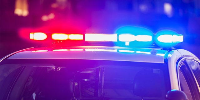 The roof of a police patrol car at night, with the blue and red lights flashing.