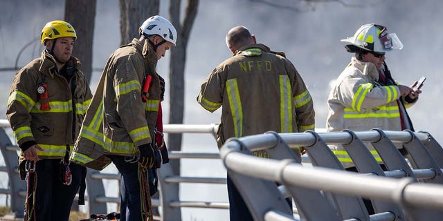 An Illinois mother has died and her 5-year-old son has been hospitalized after jumping from a cliff in Niagara Falls on Sunday, February 12, 2023.