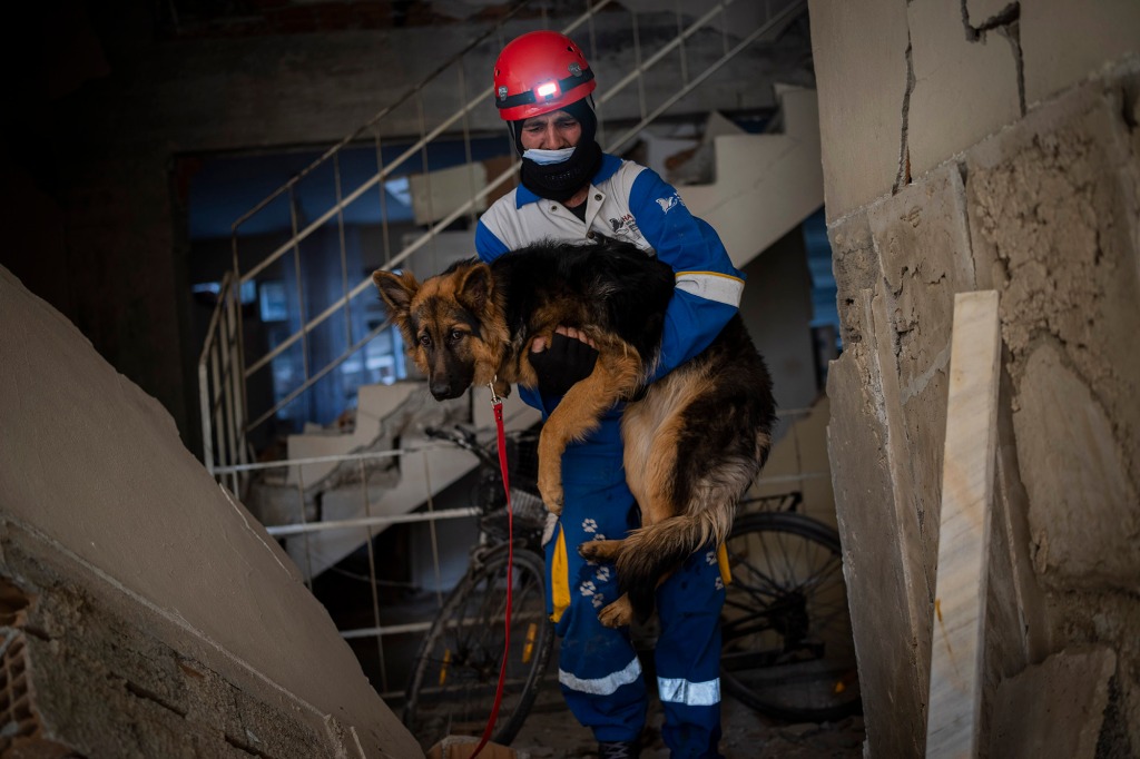 Mehmet Gurkan, a member of the Turkish animal rights group HAYTAP, rescues a dog that was trapped for seven days inside a house affected by the earthquake in Antakya, southeastern Turkey, on Sunday, Feb. 12, 2023.