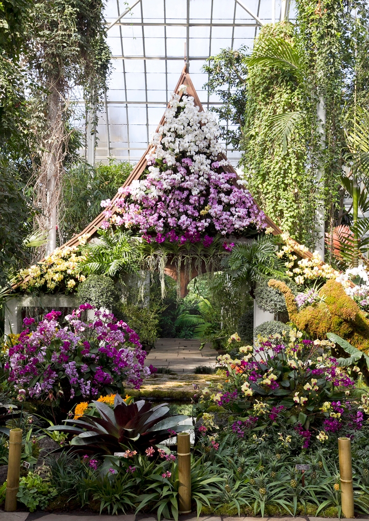 NEW YORK - FEBRUARY 16: for Features. Press preview of the New York Botanical Garden's new Thailand Orchid Show pictured on February 16, 2017. The show opens this weekend. (Annie Wermiel/NY Post)