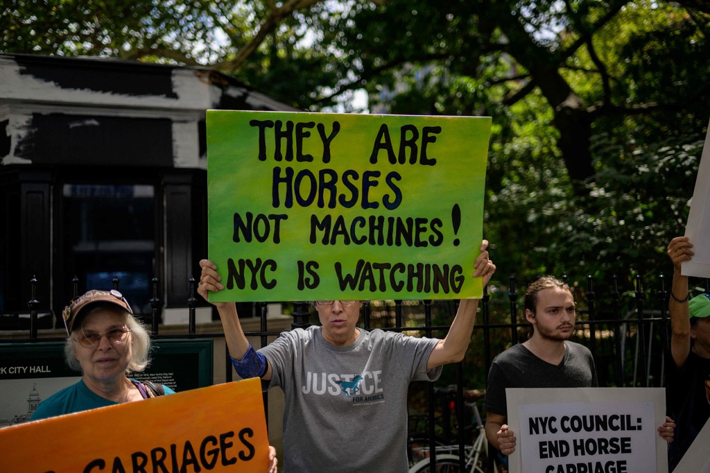 Activists from NYCLASS, PETA, and other community leaders protest outside City Hall, demanding to ban the practice of horse-drawn carriages.