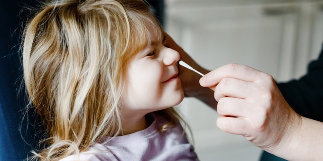 People 14 and older can self-collect their own nasal swab samples. Adults can also take samples for kids 2 and older.