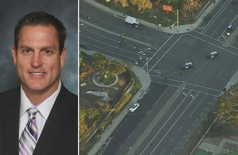 Driver mows down biking doctor before stabbing him to death on PCH: cops