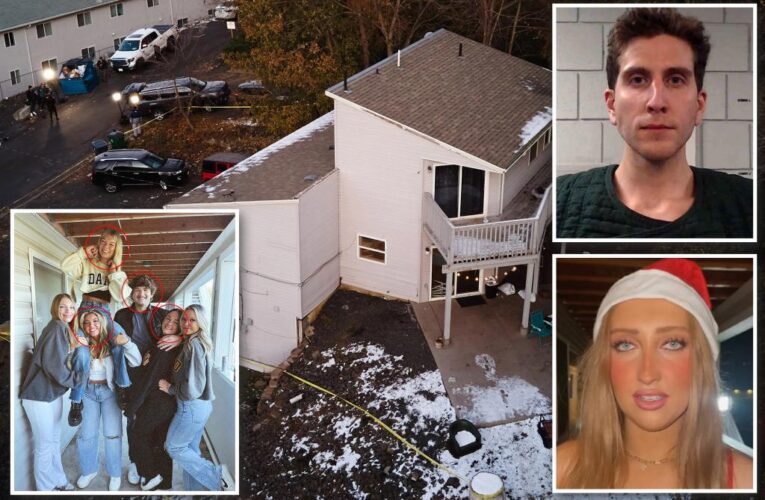 Surviving Idaho roommate thought noise from killings was partying: report