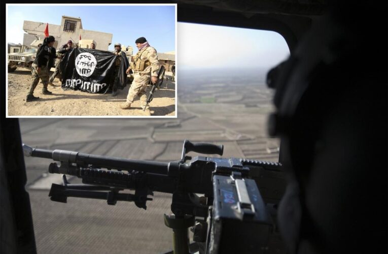 US captures top ISIS official after helicopter raid in Syria