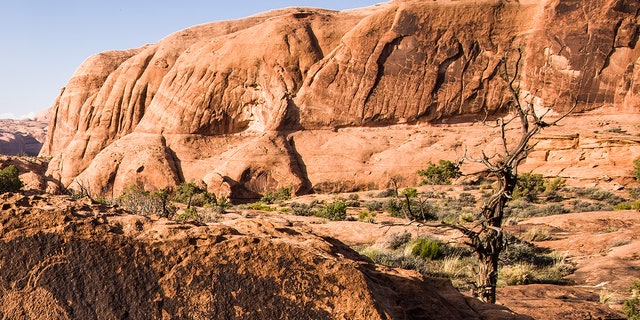 Zoe McKinney was hiking with friends in the Kane Creek Canyon area when she fell 30 feet to her death Friday, police said.