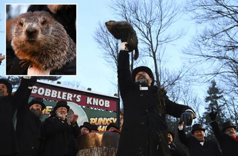 Punxsutawney Phil prepares to make prediction