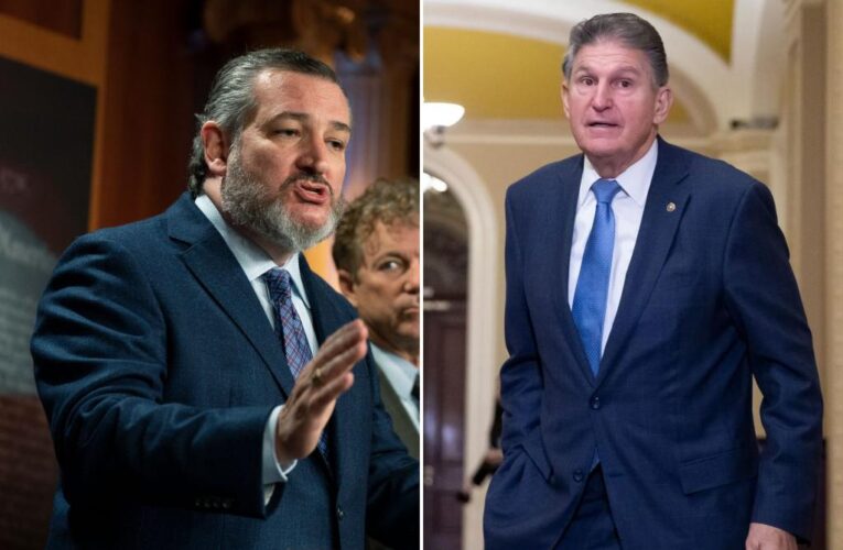 Senators Joe Manchin, Ted Cruz float bill to block gas stove bans