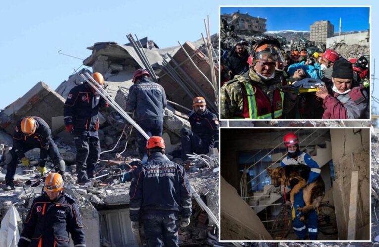 Turkey rescuers find more alive on 8th day after earthquake