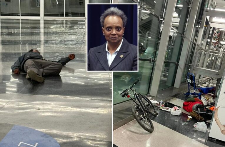 Lori Lightfoot vows to remove O’Hare homeless days before election