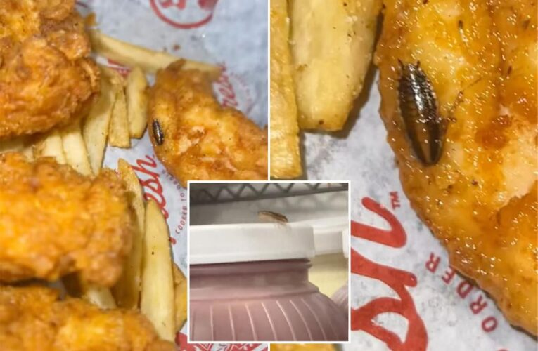 Florida woman finds 20 cockroaches in Slim Chickens food