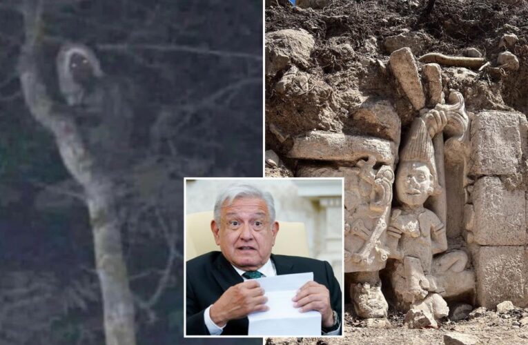 Mexican President Lopez Obrador posts pic he claims is mythical Mayan elf