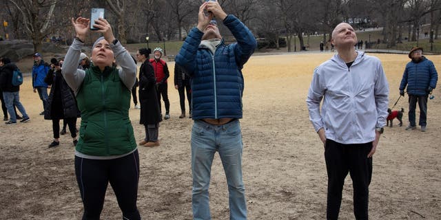 Birders watch Flaco, a Eurasian eagle owl that escaped from the Central Park Zoo, as it continues to live free in Central Park in New York City on Sunday..