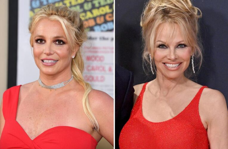 Britney Spears touched by Pam Anderson’s sons’ support